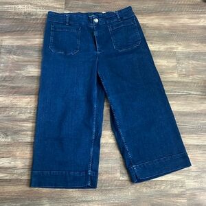 The Collete cropped denim wide leg pants by Maeve size 18/20